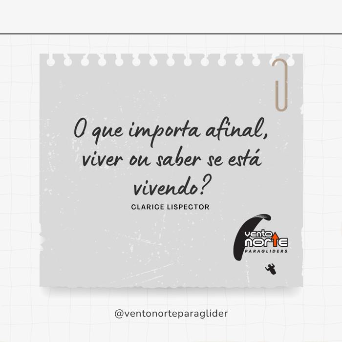 o que importa afinal, viver ou saber se está vivendo?