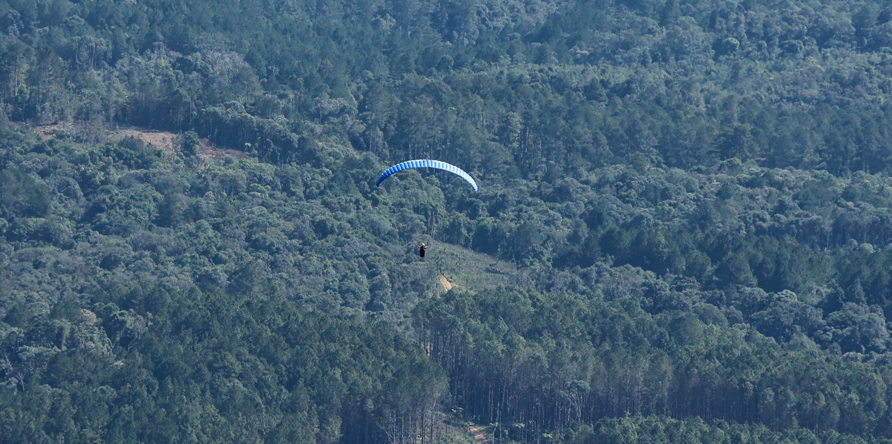 Morro do Araçatuba Hike and Fly Mata Atlantica Ecofestival Vento Norte Paraglider Alanna Lima
