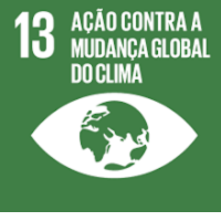 ODS 13 – Ação contra a mudança global do clima