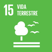 ODS 15 - Vida terrestre