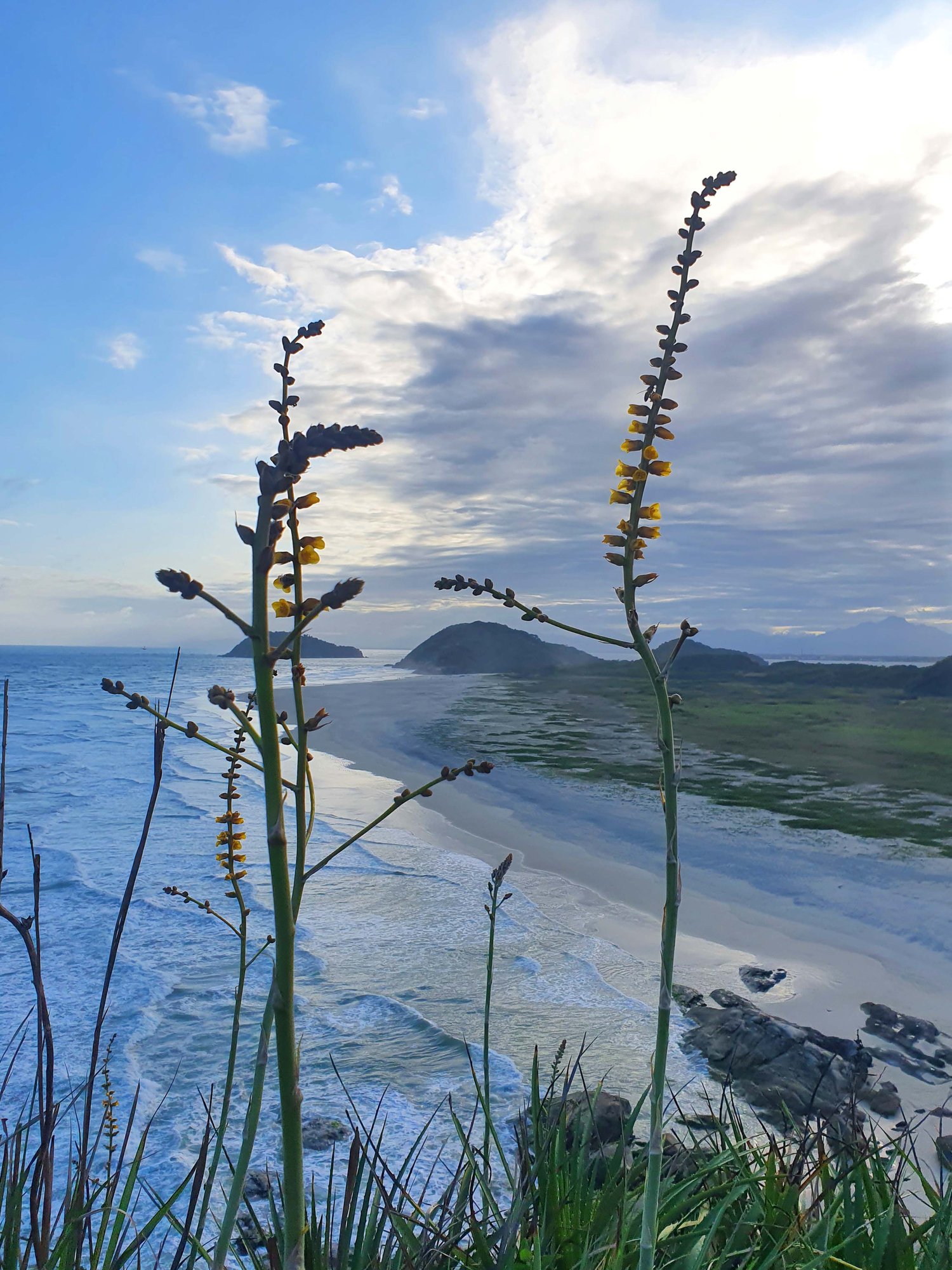 Praia de Fora_Ilha do Mel_Encantadas_Litoral_do_Paraná_Recomendações