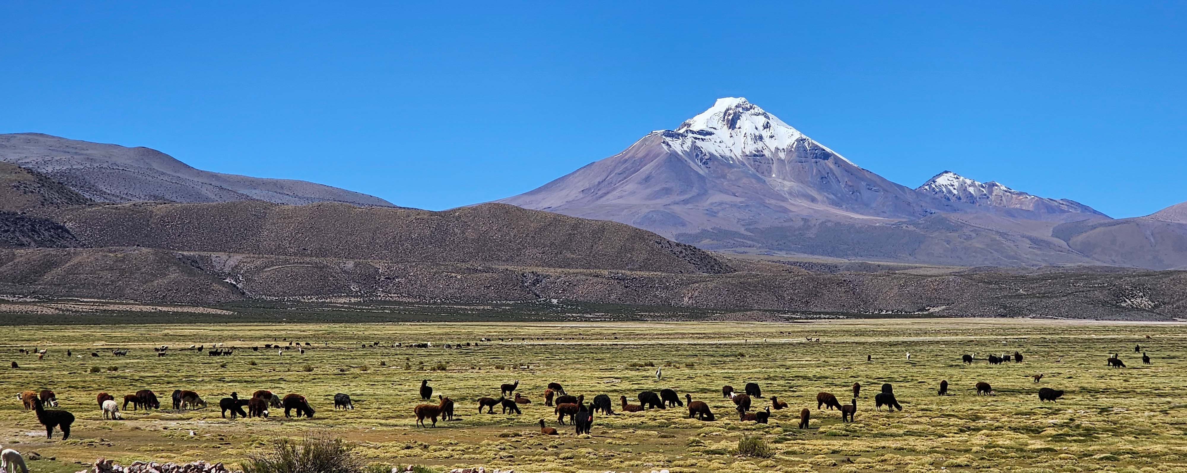 Roteiros Vento Norte Paraglider Expedição de Voo Livre Deserto do Atacama Cidade de Pisaguá